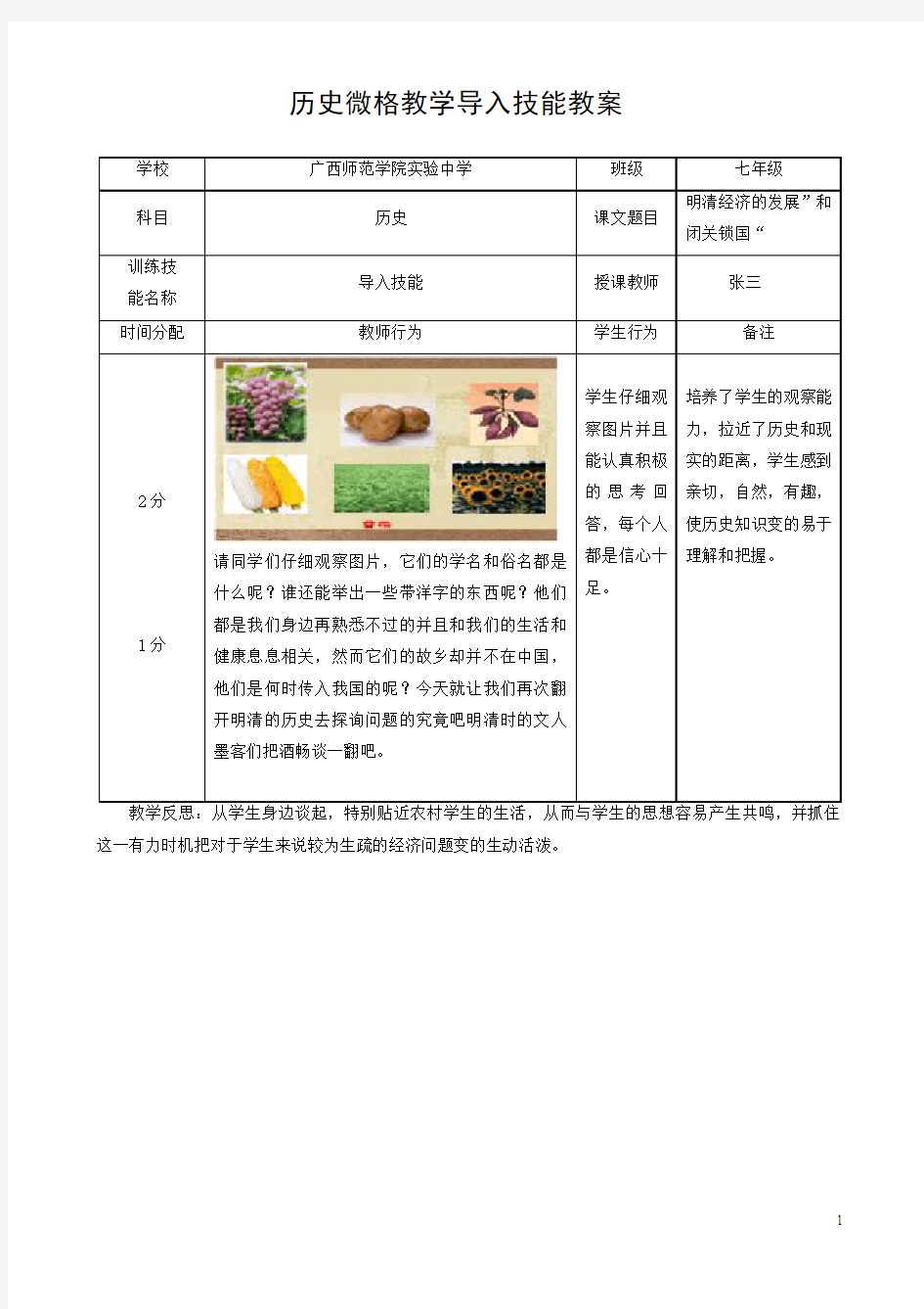 历史微格教学导入技能教案