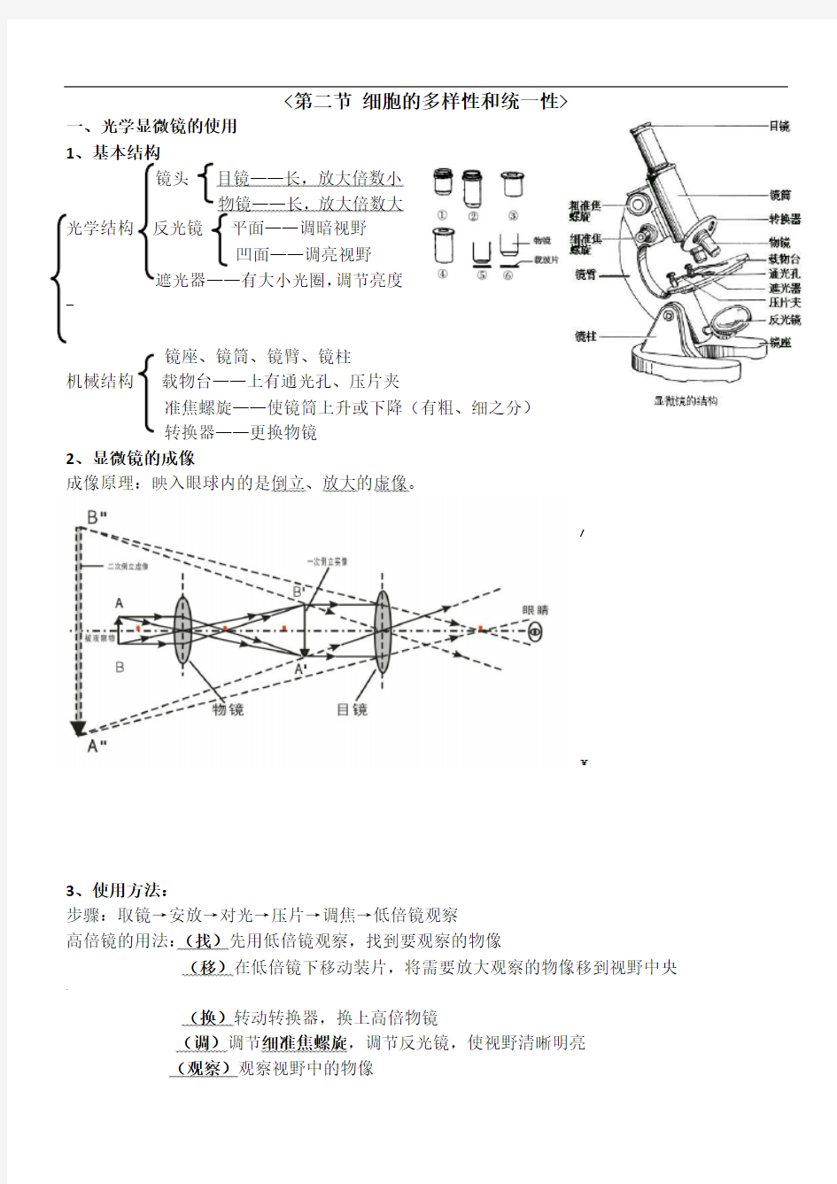 细胞的多样性与统一性-知识点总结