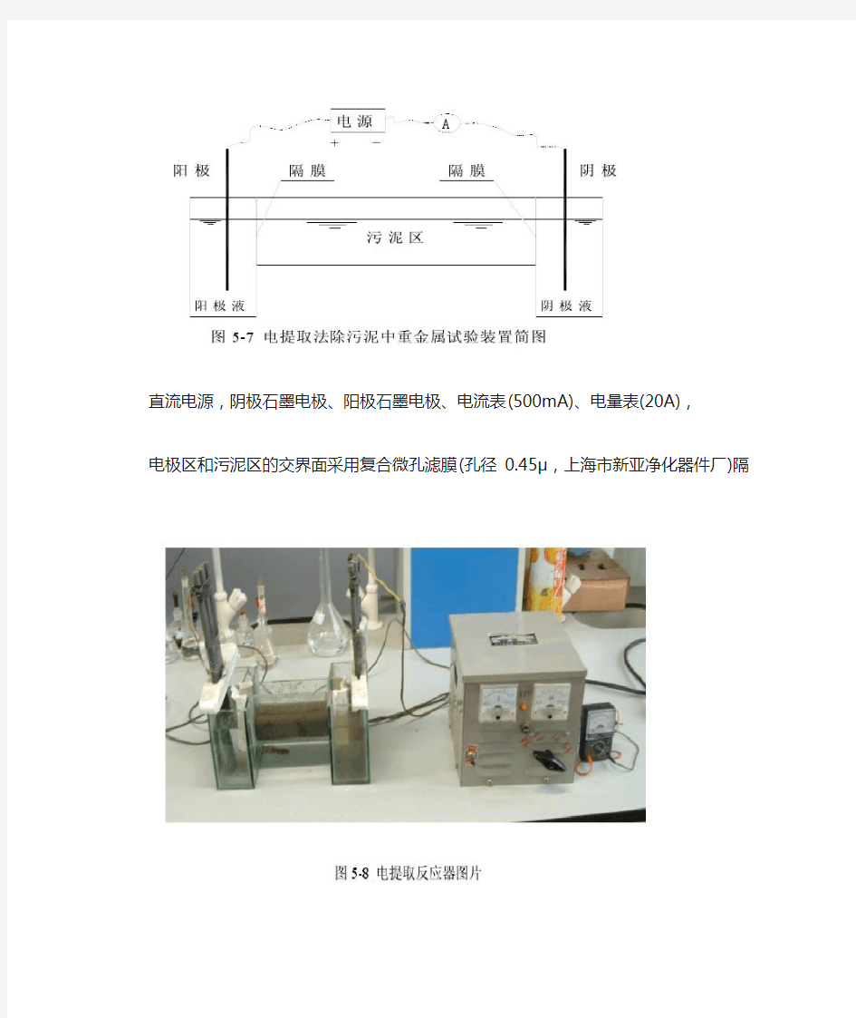 电化学实验装置