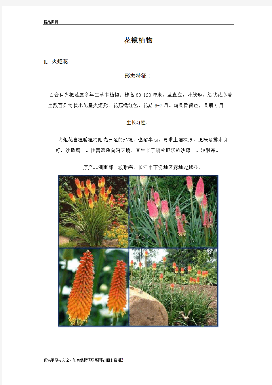 100种花境植物、有解析和图片教学提纲