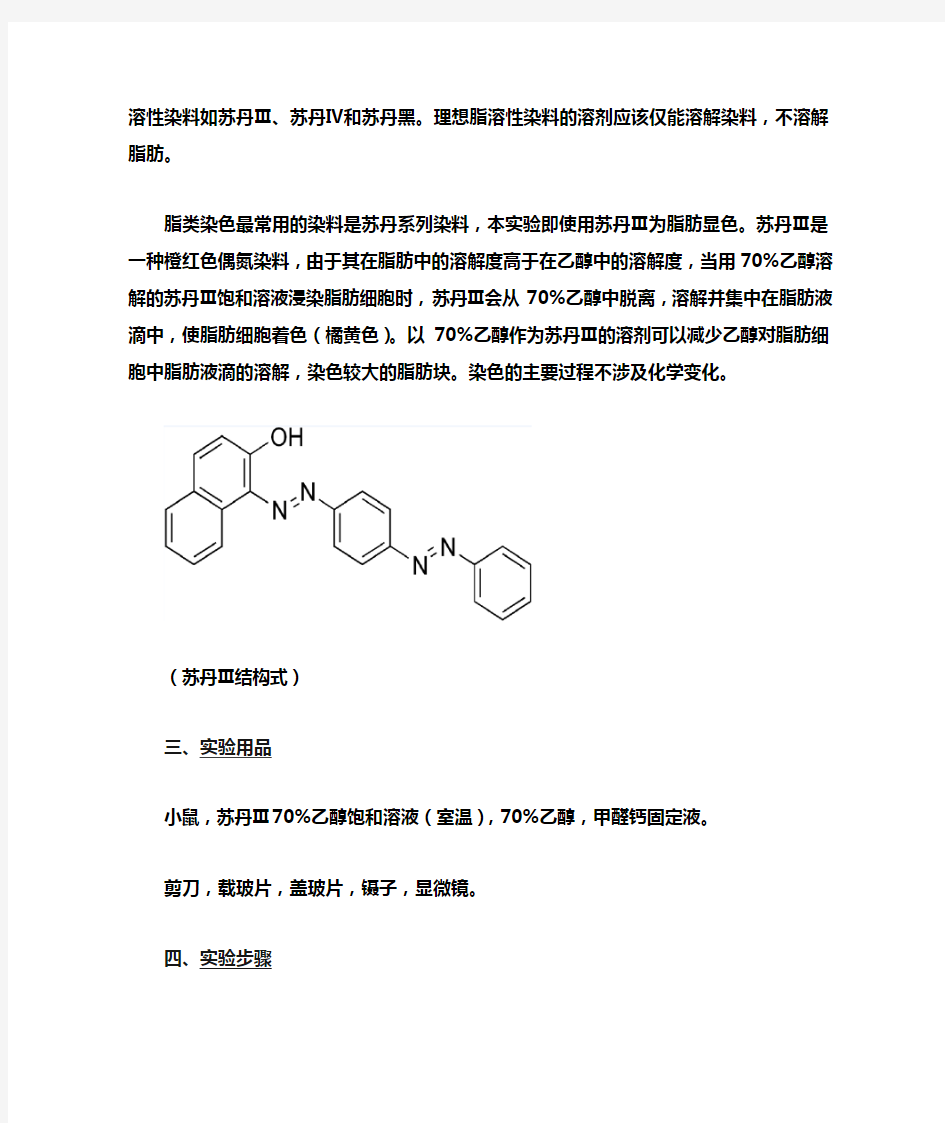 小鼠肠系膜脂肪细胞染色