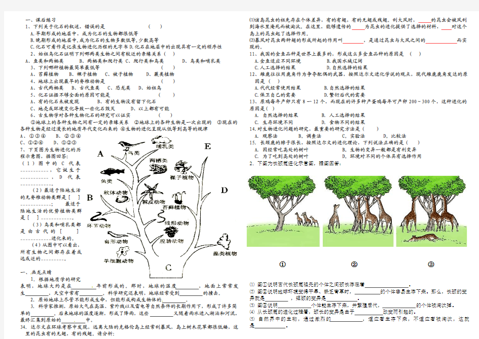 第三节生物进化的原因第七单元教学案 2010