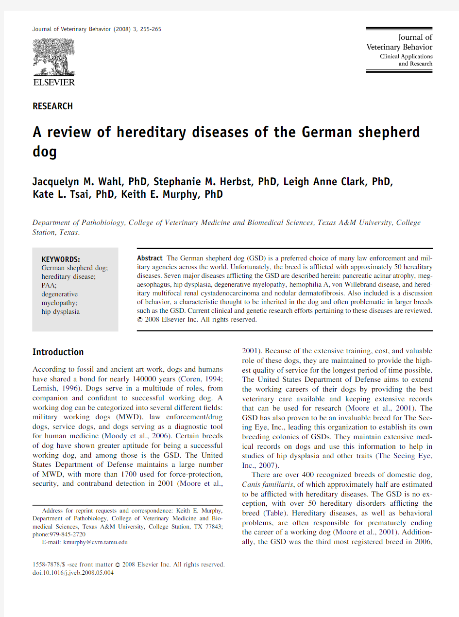 A review of hereditary diseases of the German shepherd dog