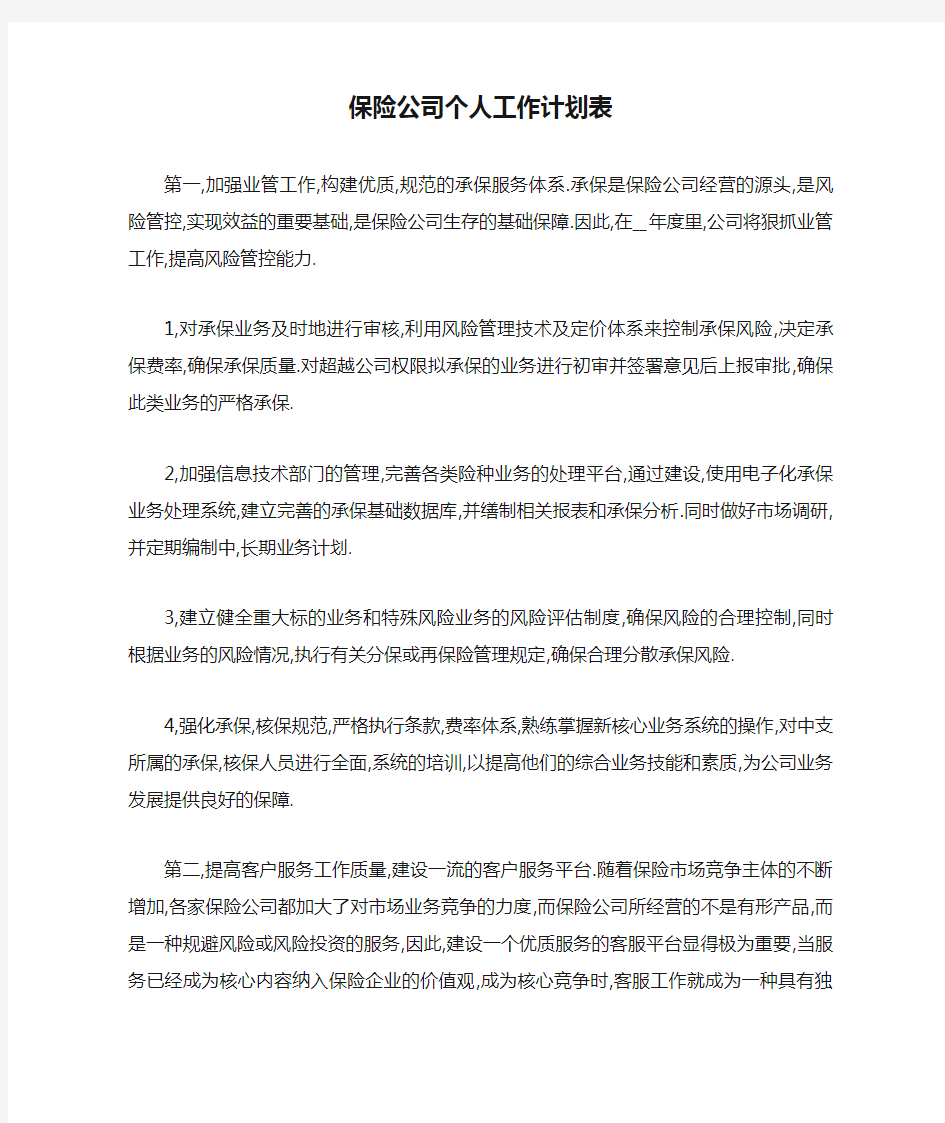 保险公司个人工作计划表精选