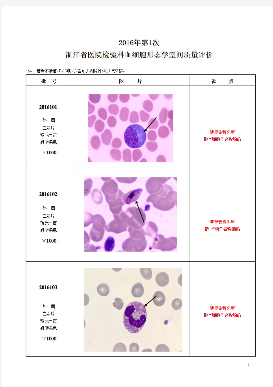 2016年第1次血细胞形态学EQA图