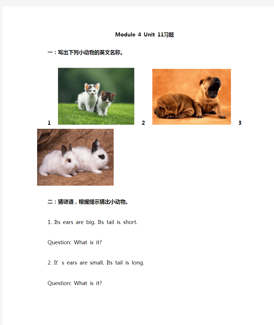 最新沪教版小学英语三年级上册Unit 11 Small animals 重点习题