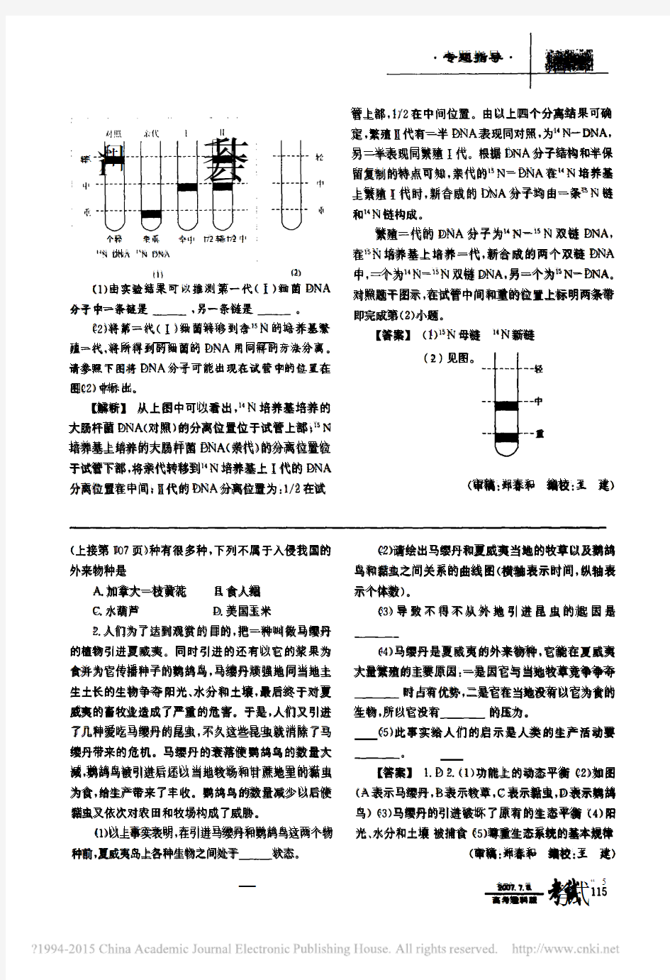 DNA半保留复制的实验及例题分新_王凤荣