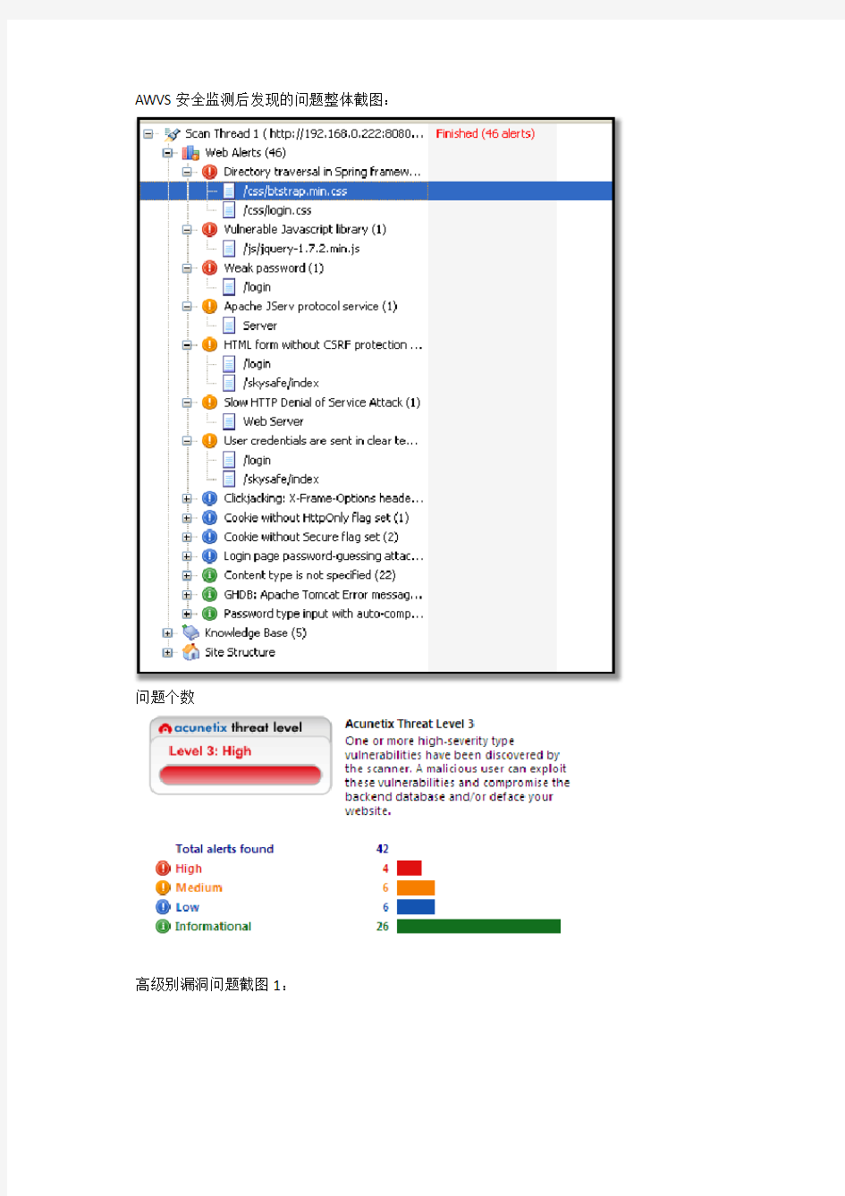 安全检测结果报告