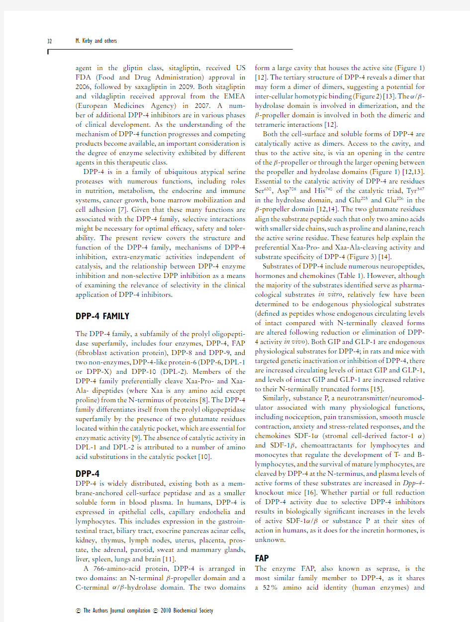 Inhibitor selectivity in the clinical application of dipeptidyl peptidase-4 inhibition