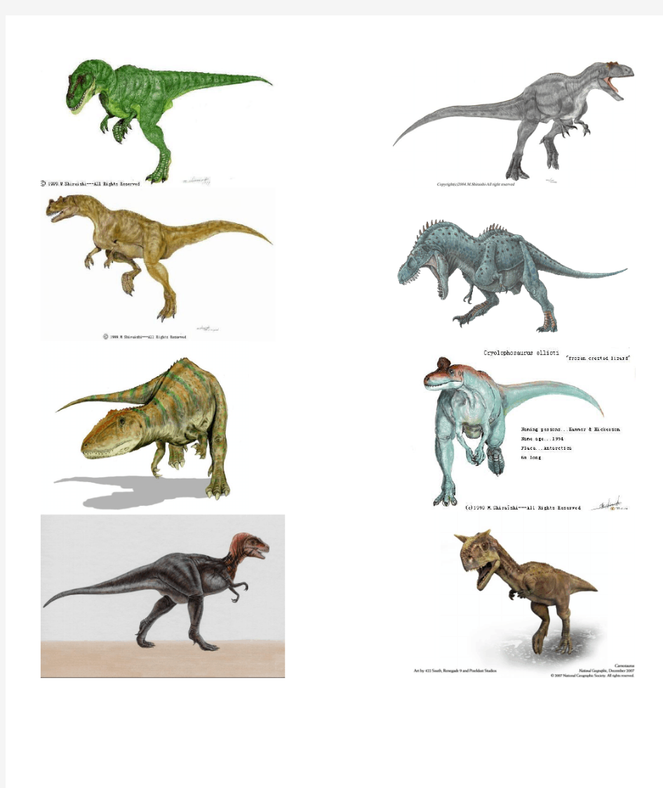 恐龙图片大全(打印整理版)