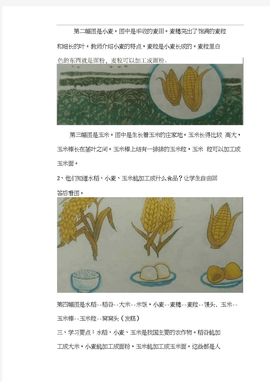 6水稻小麦玉米