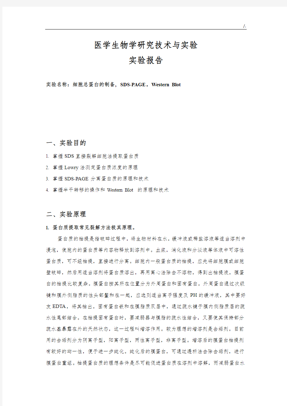 细胞总蛋白的制备,SDS-PAGE,WesternBlot