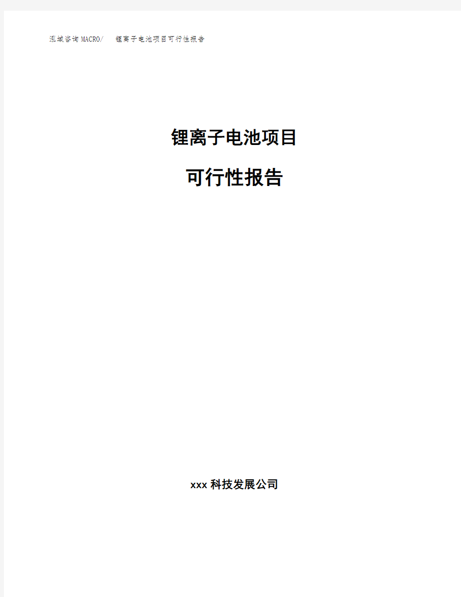 锂离子电池项目可行性报告