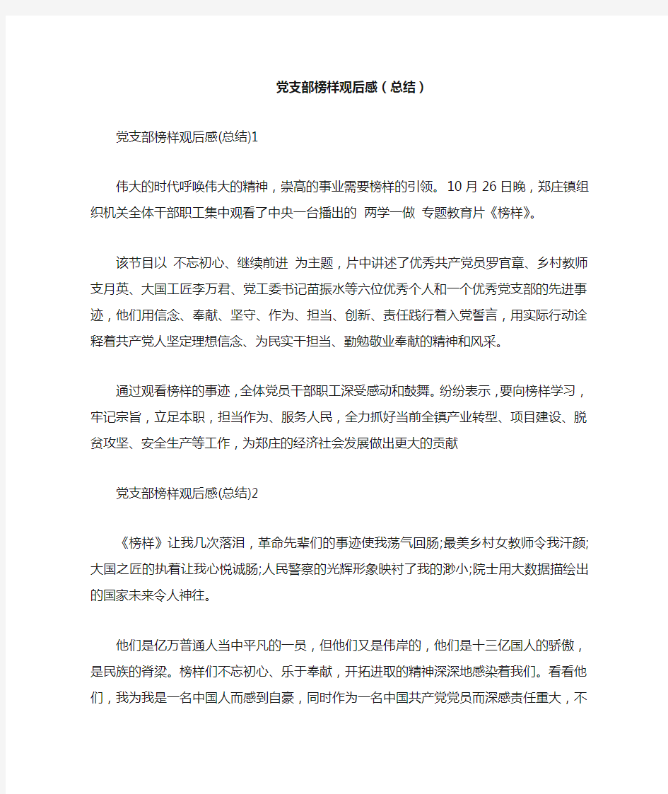 党支部榜样观后感总结