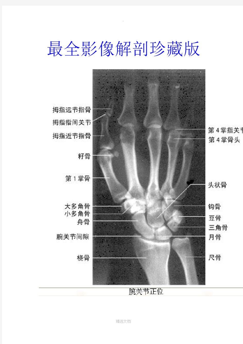 最全影像解剖影像图谱珍藏版