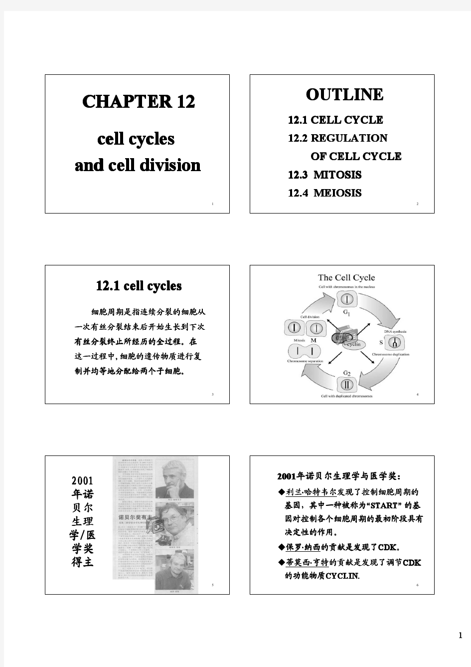中山大学细胞生物学课件(王金发)第12章 (PPTminimizer)