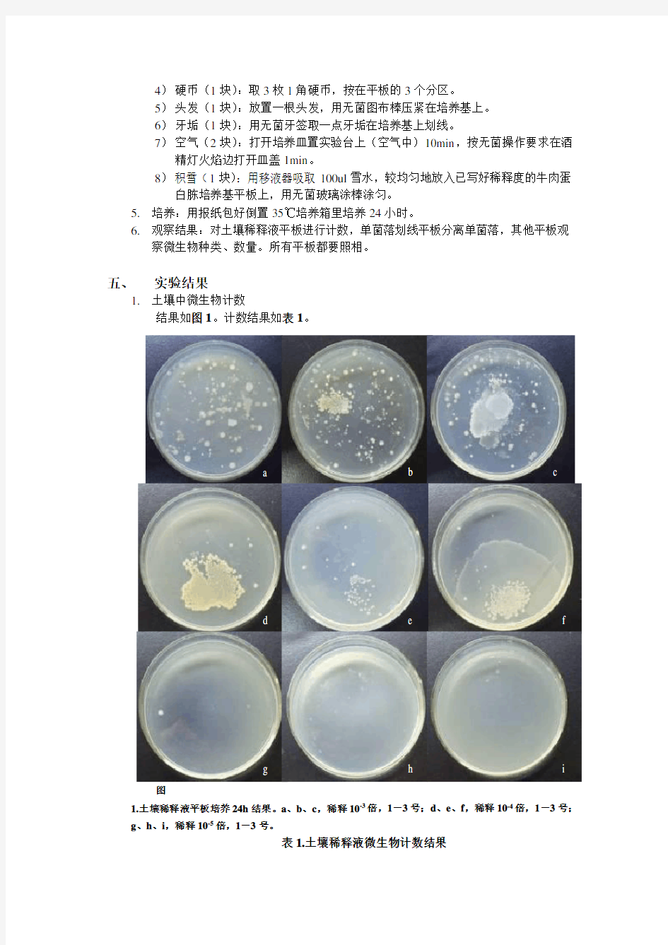 微生物实验报告：环境中微生物