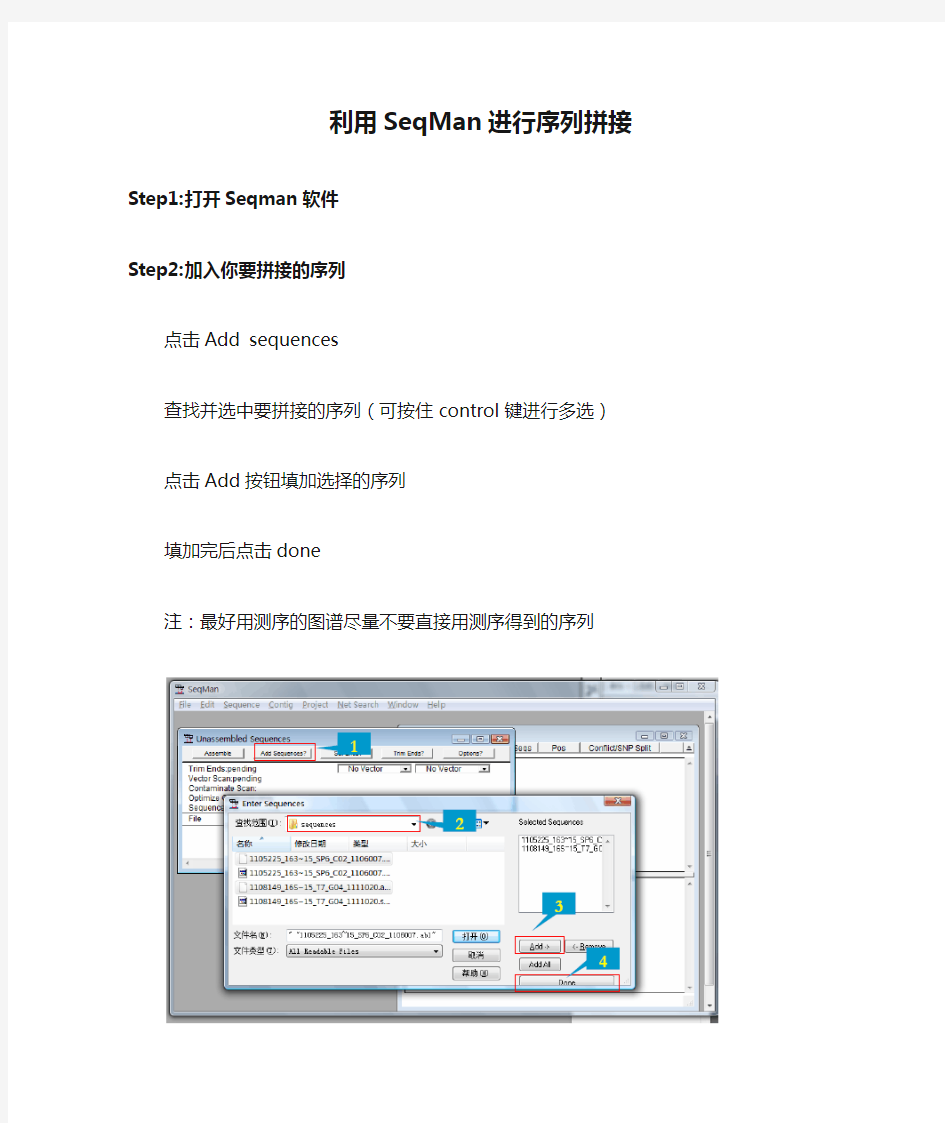 利用SeqMan进行序列拼接