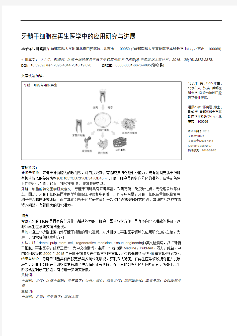 牙髓干细胞在再生医学中的应用研究与进展