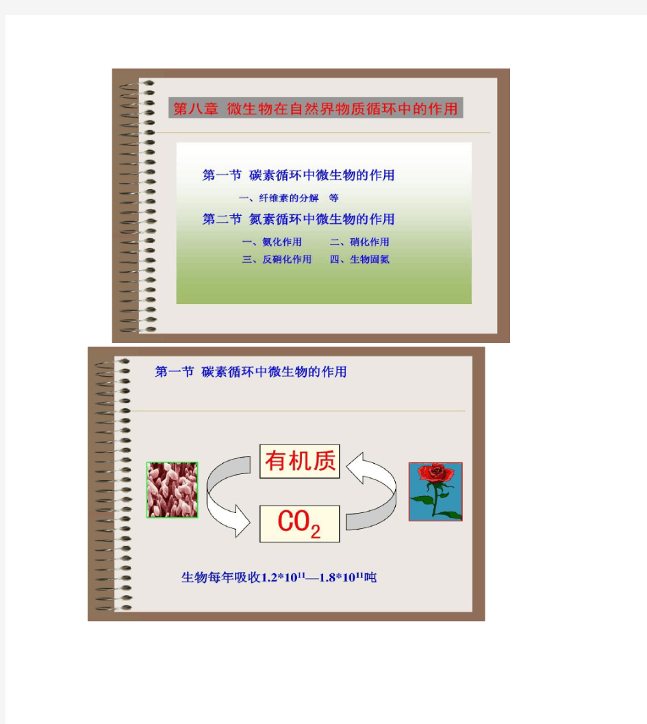 第八章微生物在自然界碳氮素循环中的作用(2010.秋.