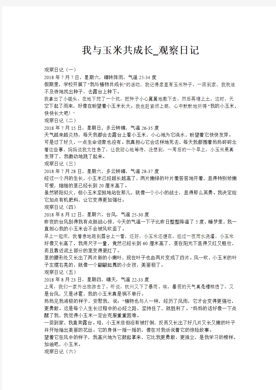 我与玉米共成长_观察日记