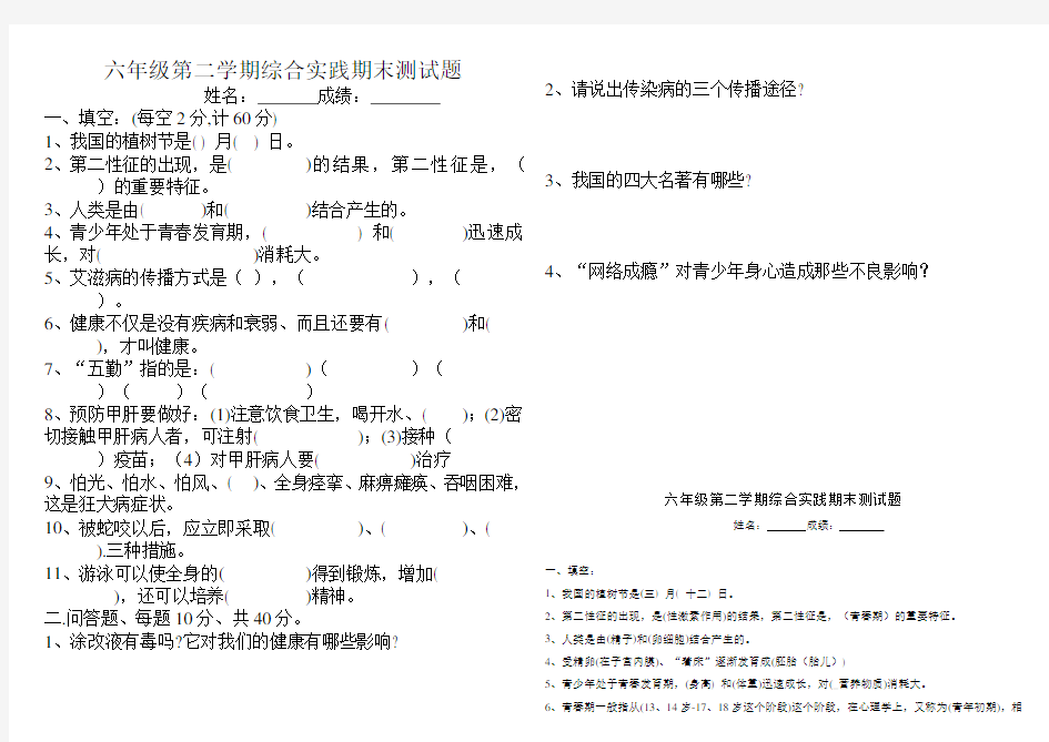 六年级下册综合实践试卷