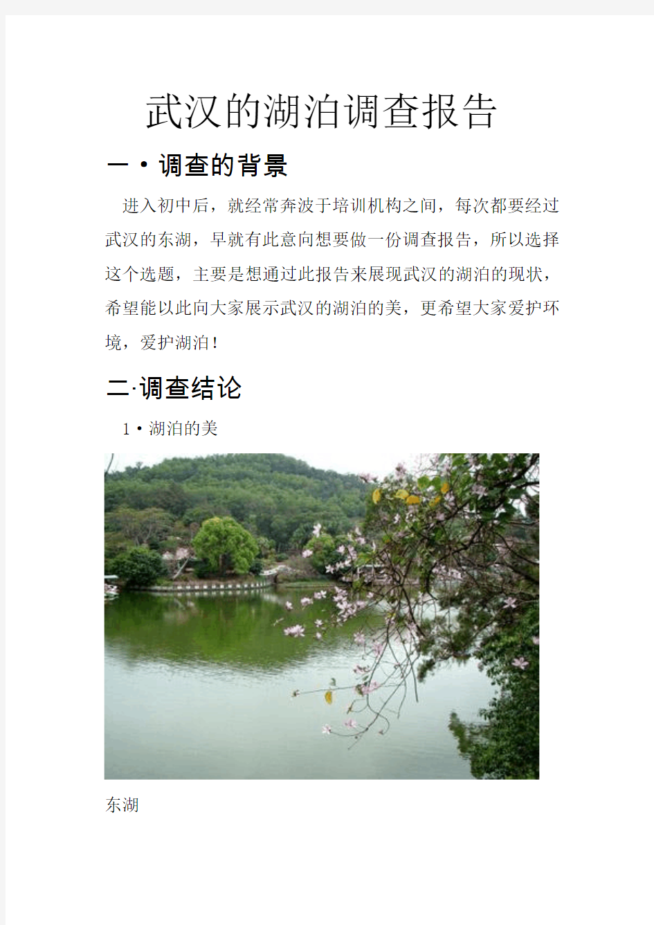 武汉的湖泊调查报告