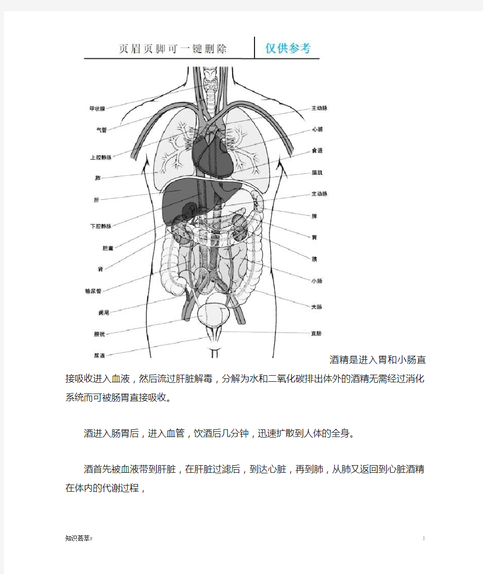 酒精在人体内的流程(相关知识)