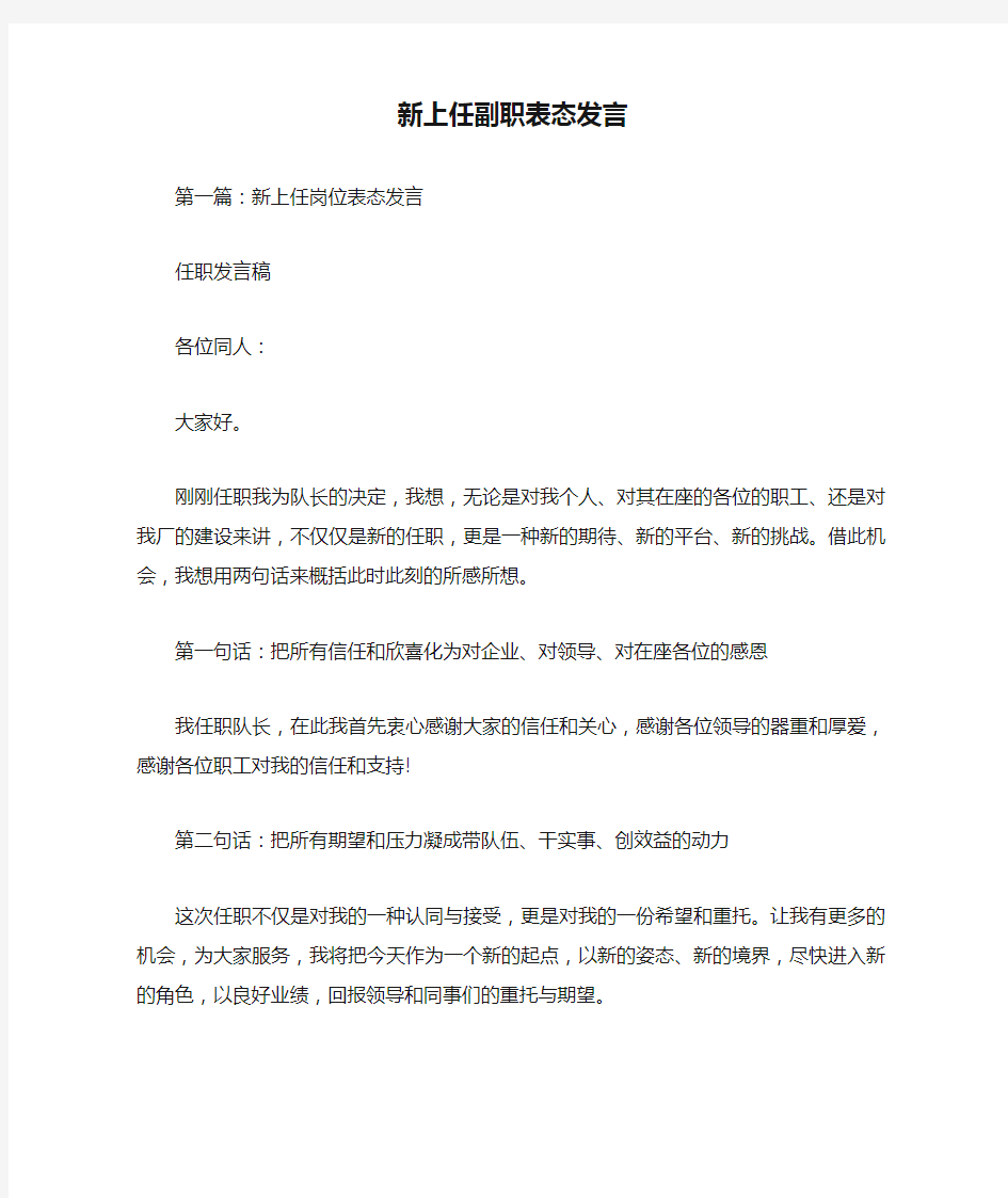 新上任副职表态发言