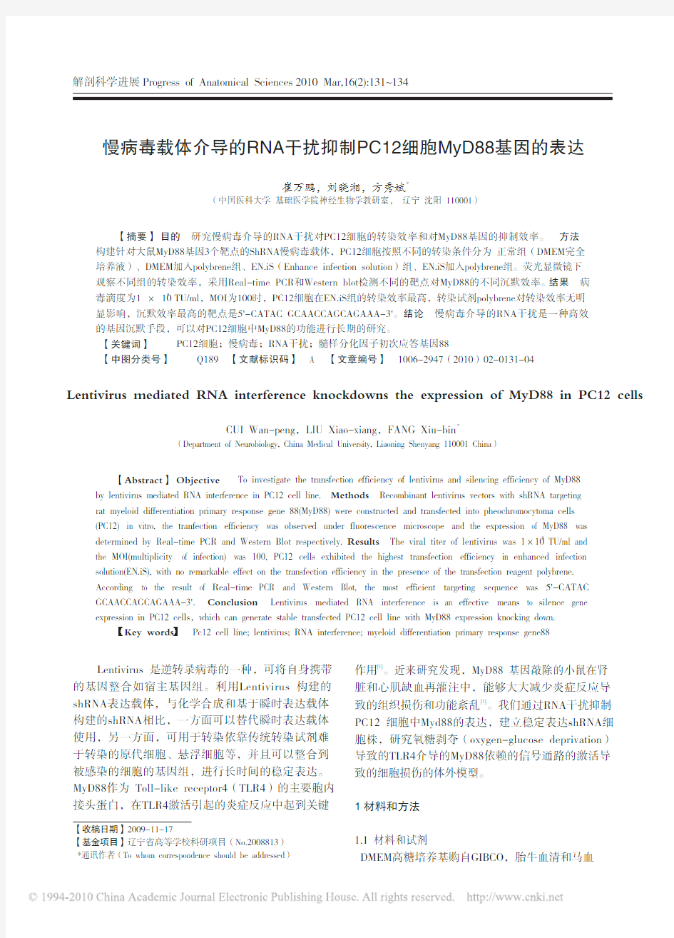 慢病毒载体介导的RNA干扰抑制PC12细胞MyD88基因的表达