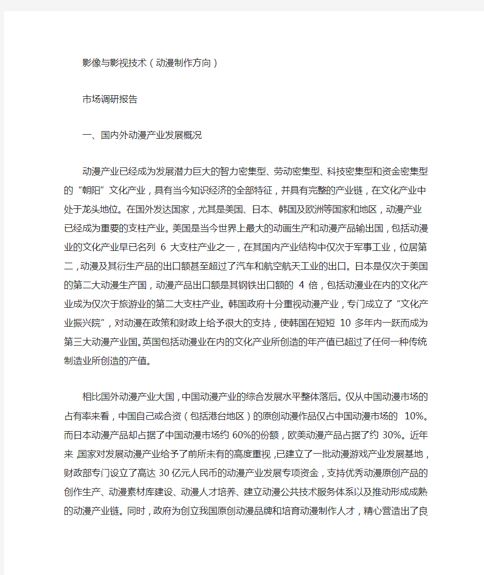 动漫公司调研报告