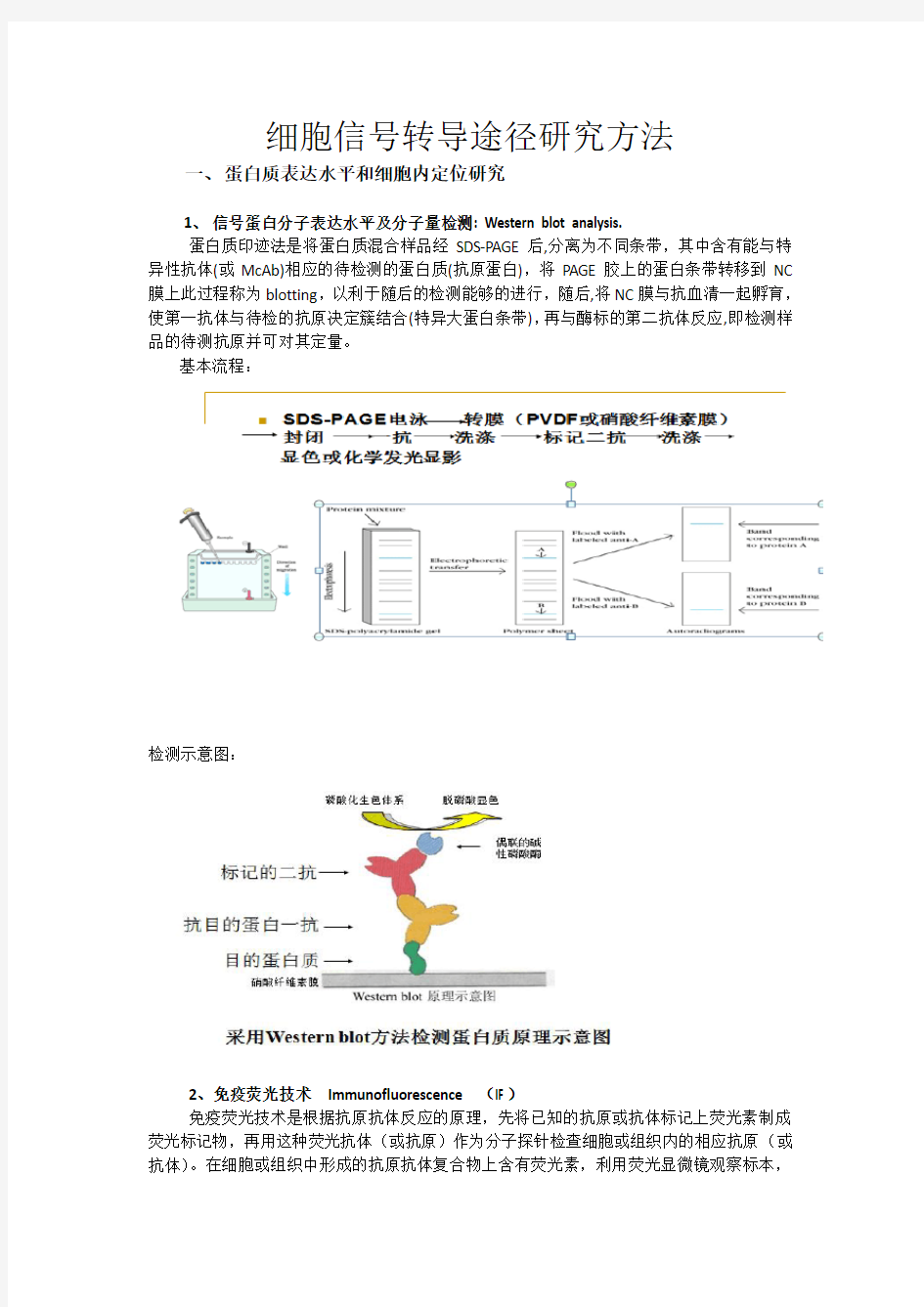 细胞信号转导研究方法