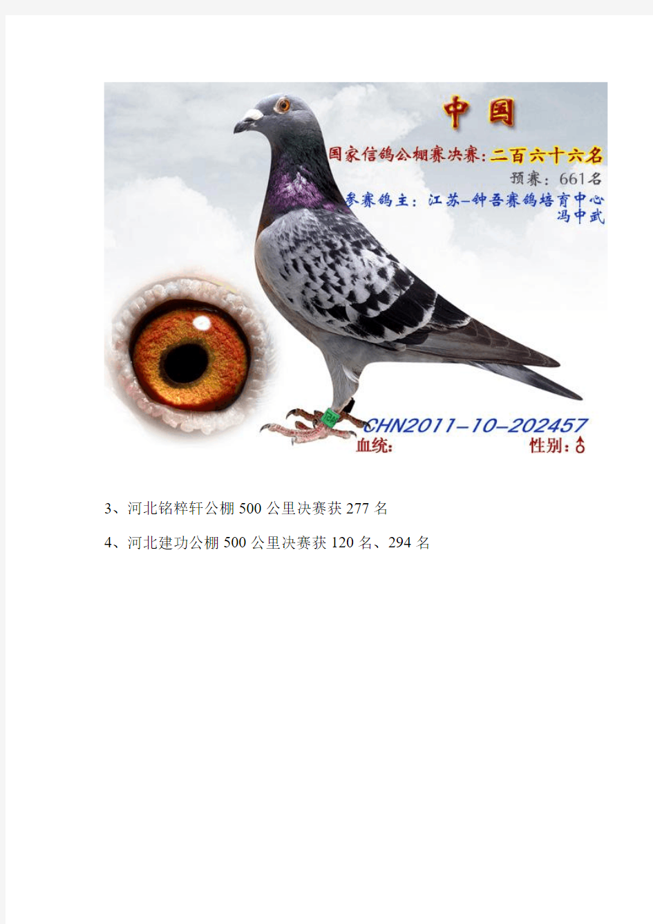 钟吾赛鸽培育中心2011年度 - 各地赛鸽公棚-中国信鸽信息网