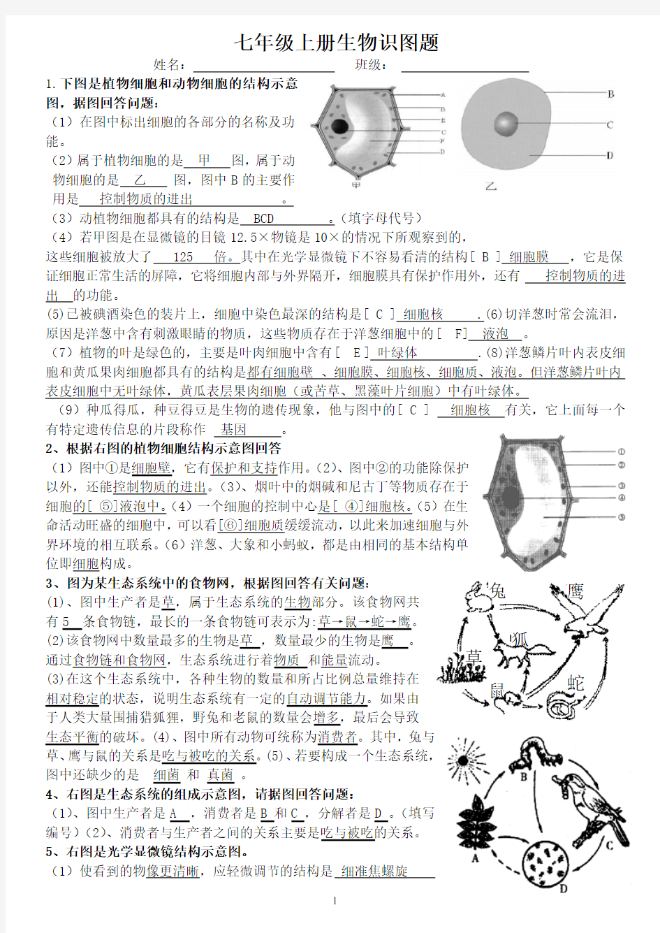 (完整)生物七年级生物上册识图题带答案