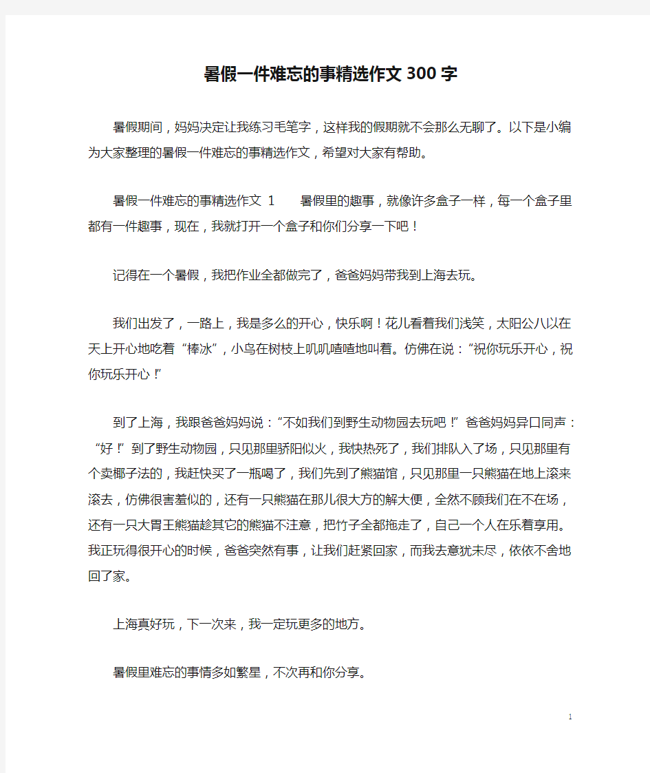 暑假一件难忘的事精选作文300字