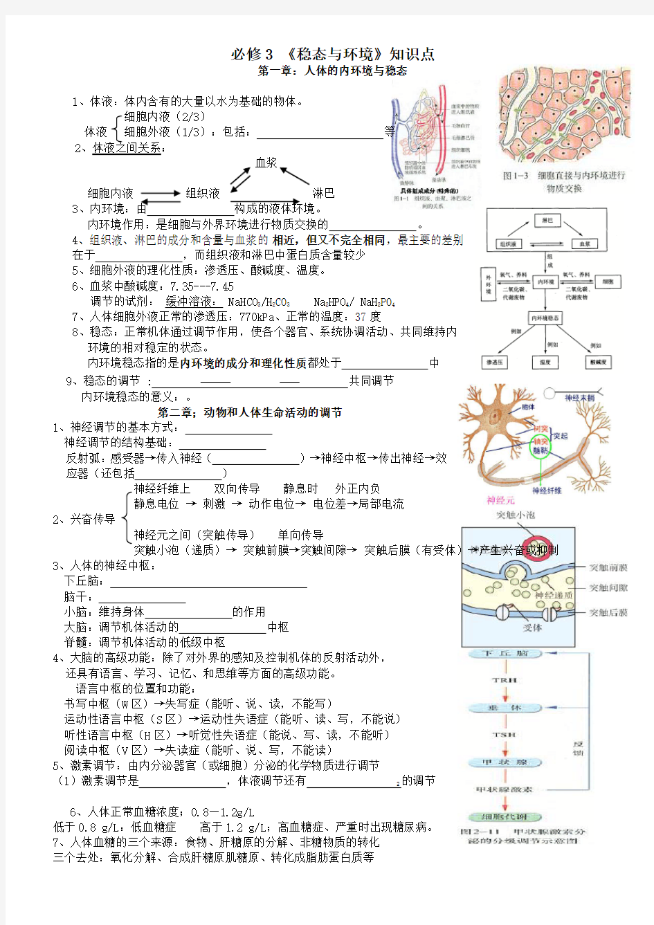 高中生物知识点总结(填空)