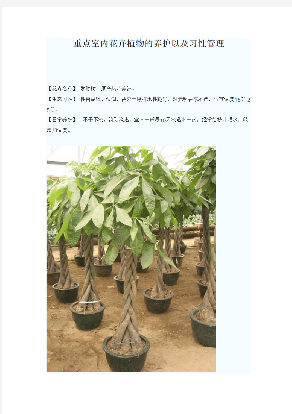 重点室内花卉植物的养护以及习性管理