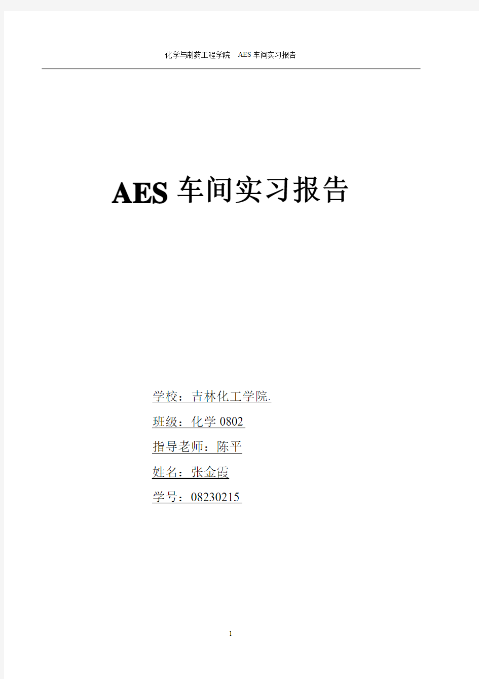 AES报告