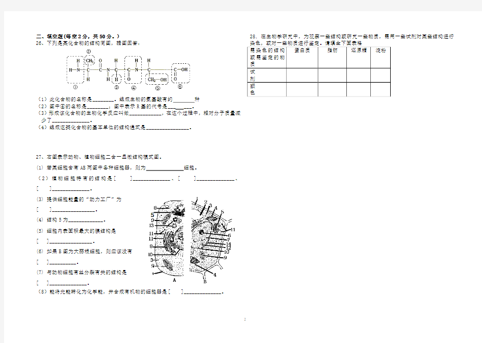 2009-2010学年度第一学期期末试题