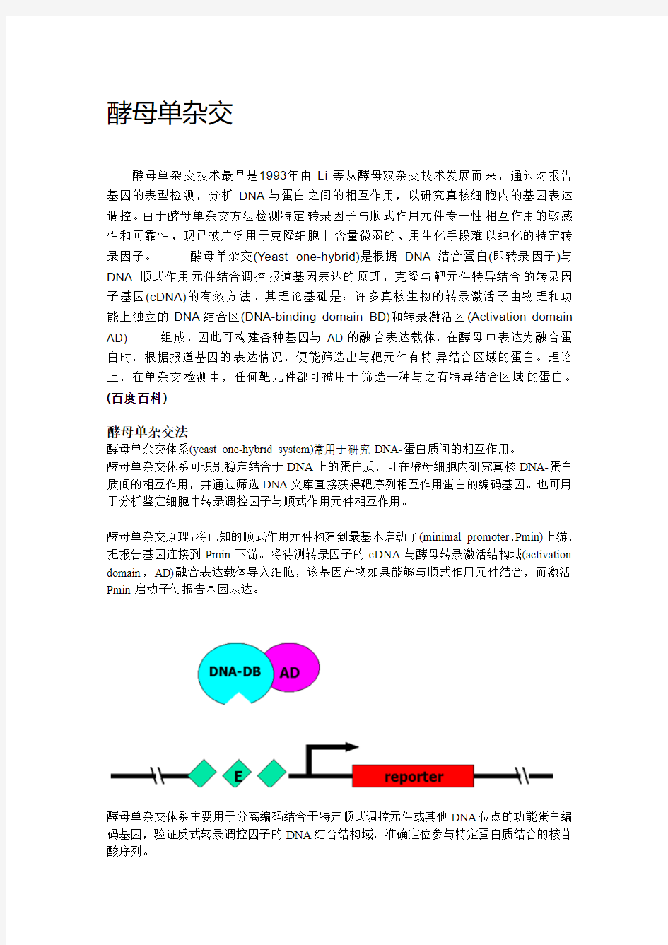 酵母单杂交