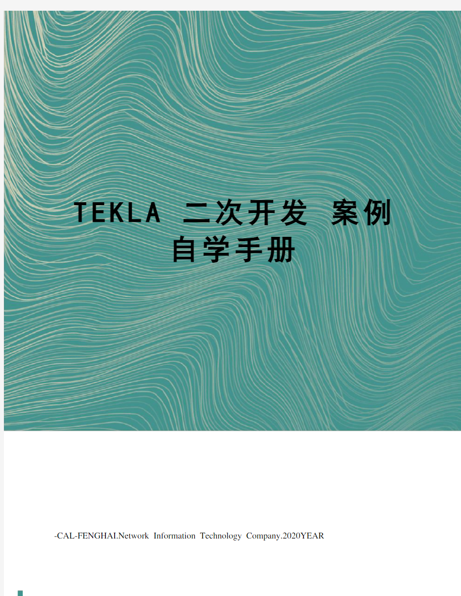 TEKLA 二次开发 案例 自学手册