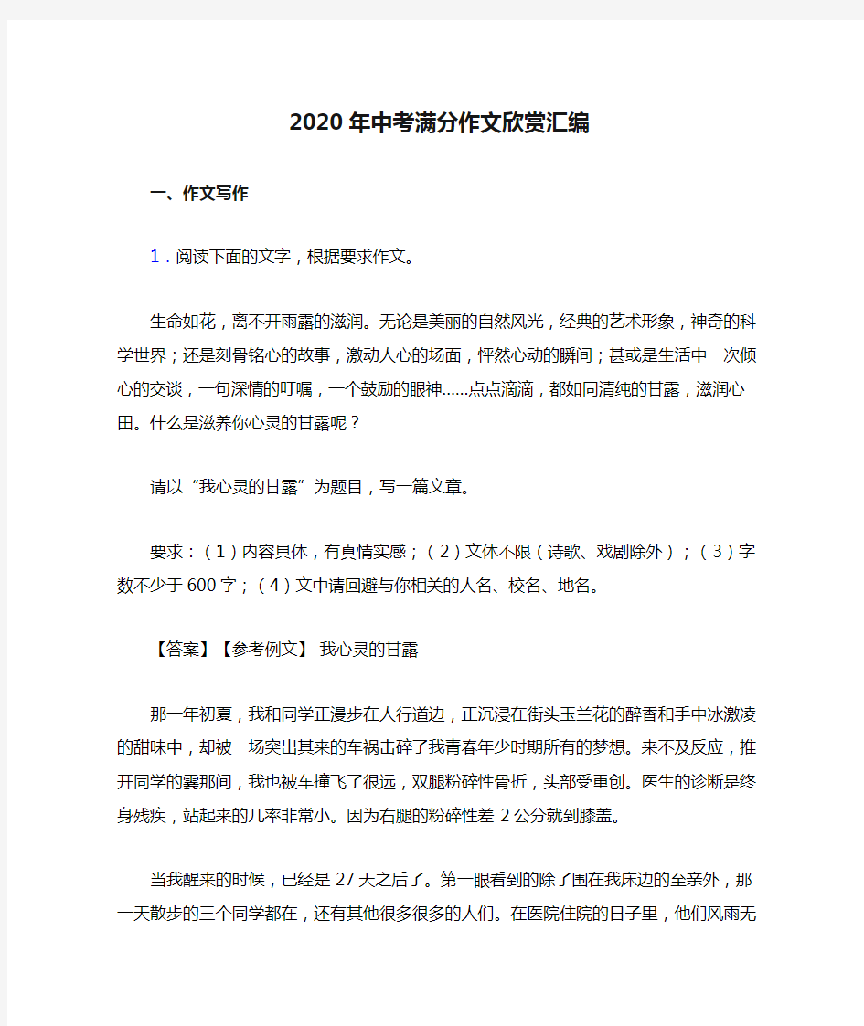 2020年中考满分作文欣赏汇编