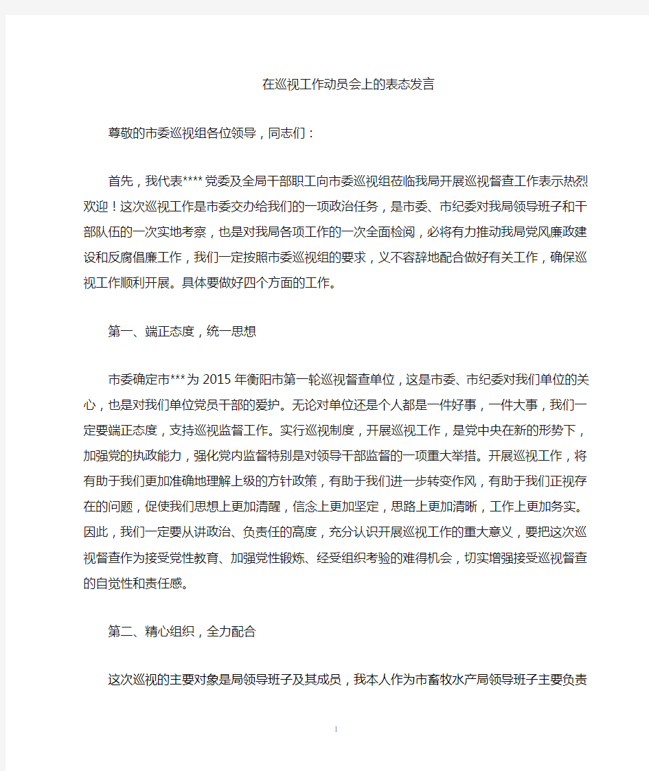 在巡视工作动员大会上的表态发言