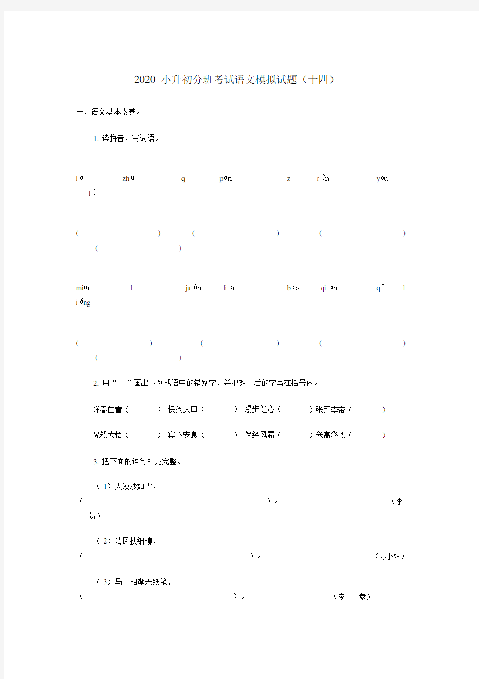 20XX年小升初语文分班考试模拟试题(十四)(无答案).doc