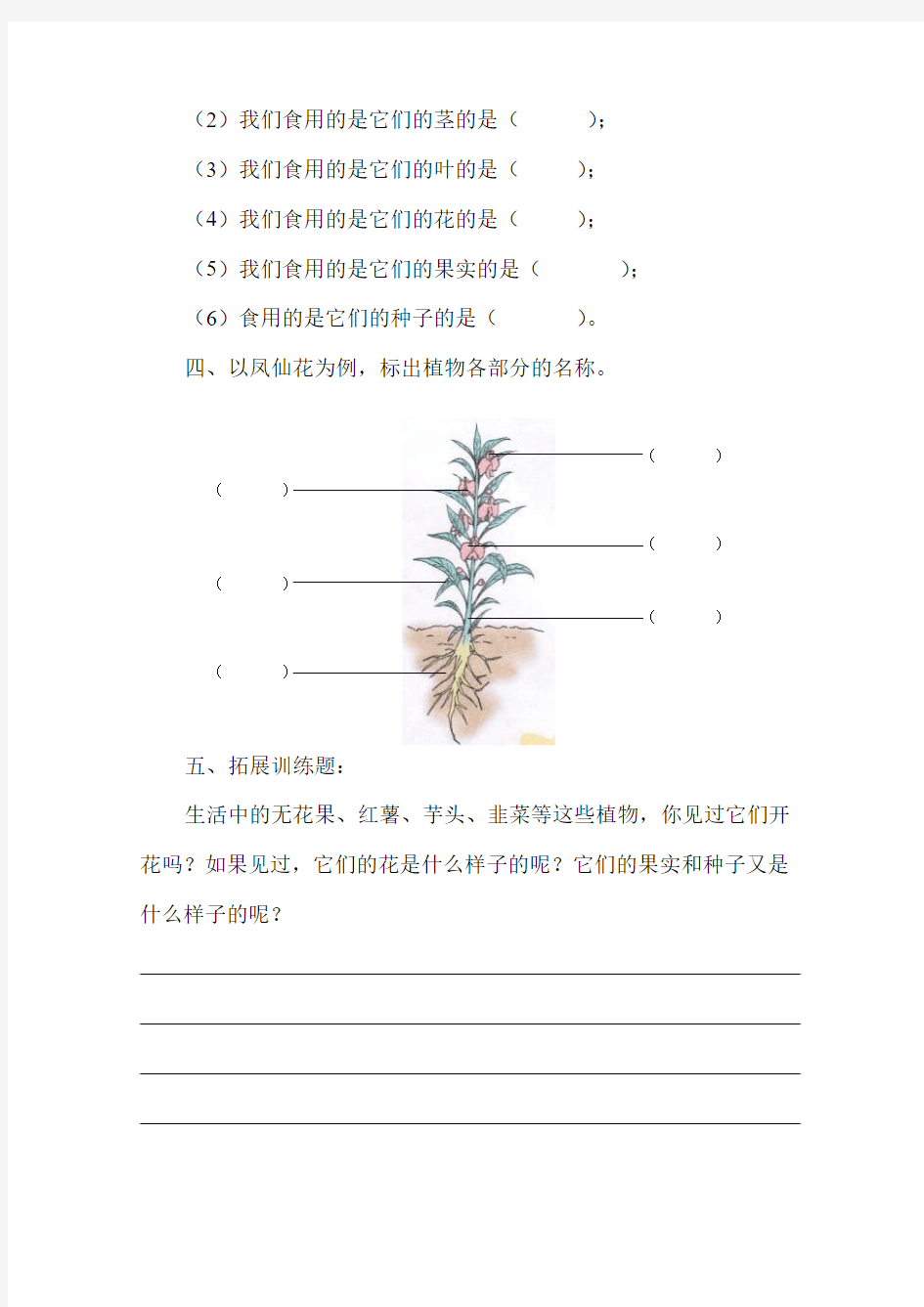 四年级上册科学同步练习-第3单元  第8课 植物的身体｜青岛版六年制