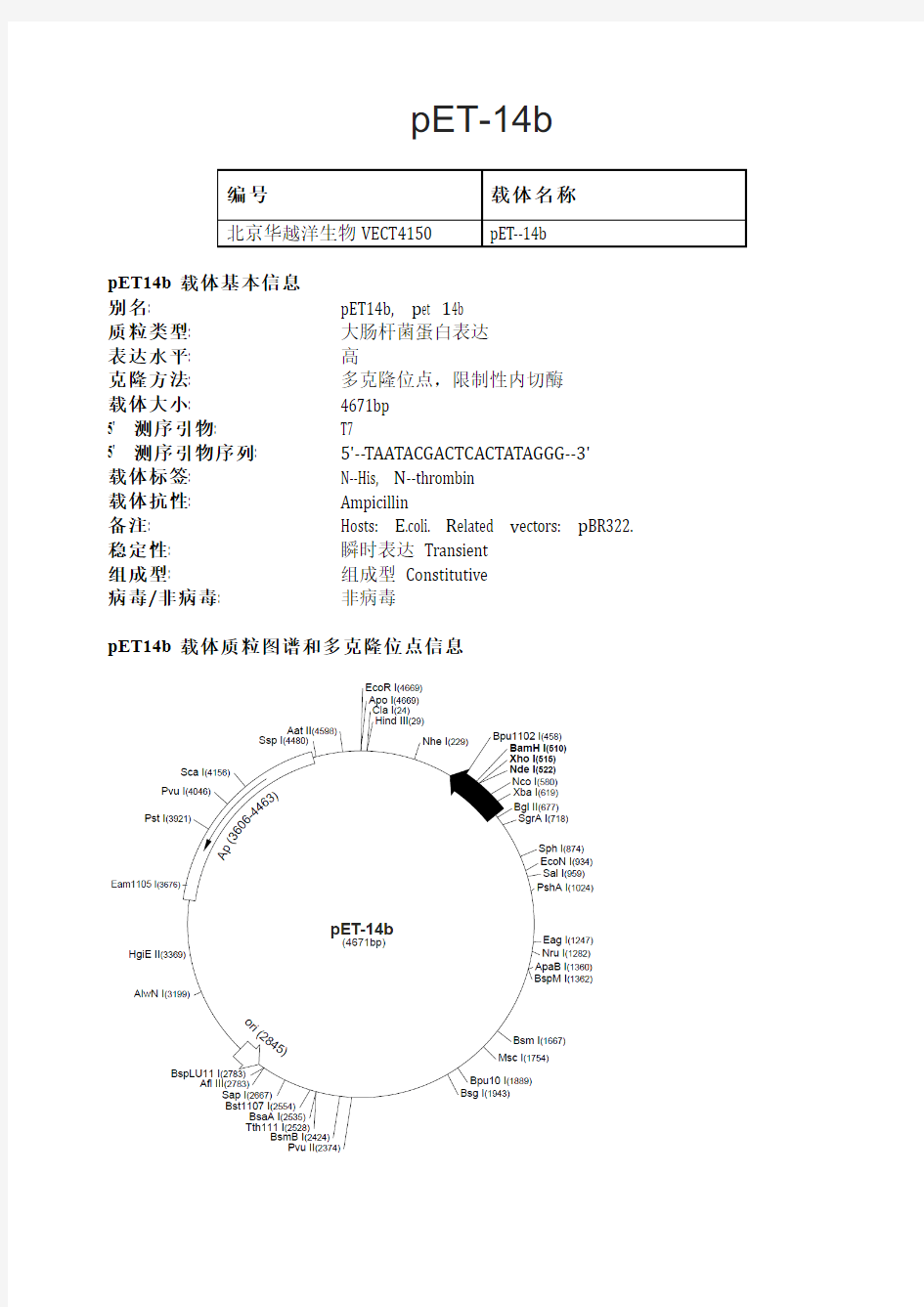 pET-14b大肠杆菌表达载体说明