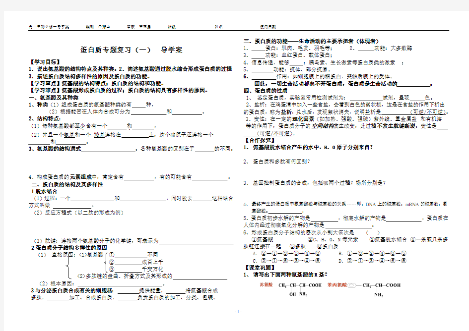 高中生物蛋白质专题复习学案