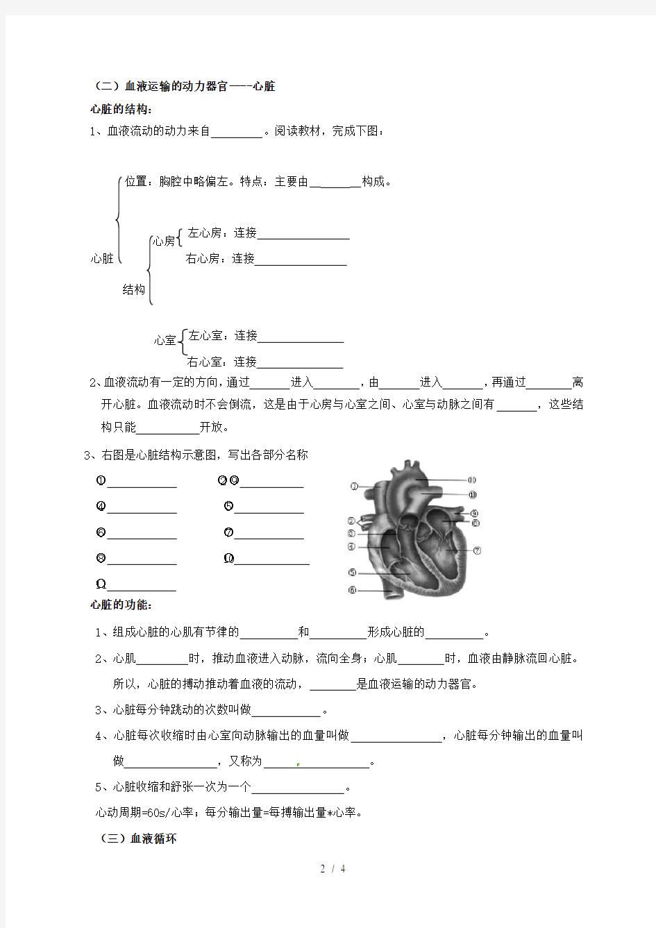 四川省成都市七年级生物下册9.2血液循环导学案(无答案)北师大版