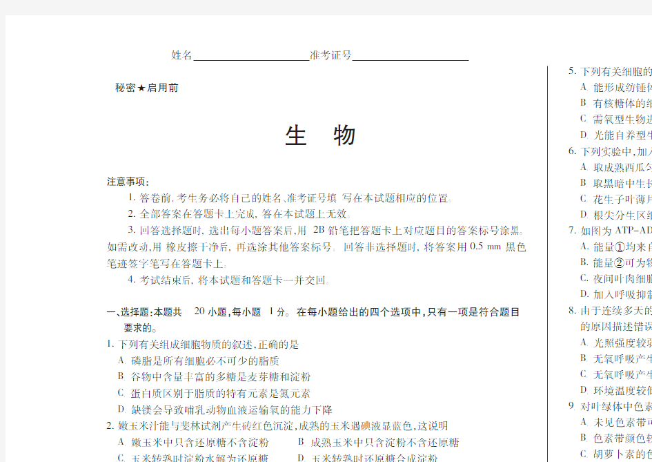 湖北省名校大联考2019届高三生物一轮复习阶段性测评(三)生物试题(图片版)