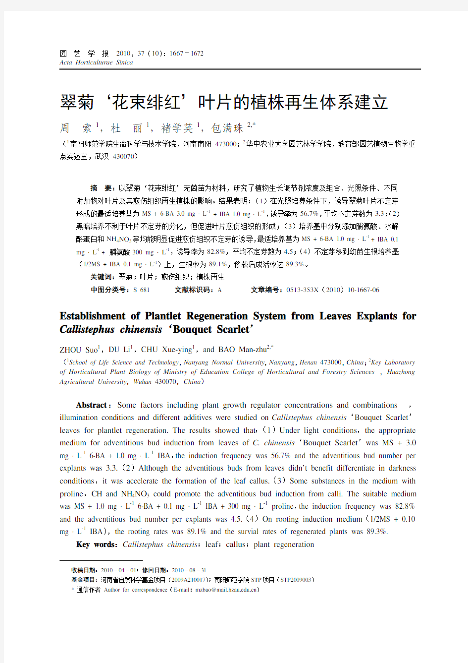 翠菊'花束绯红'叶片的植株再生体系建立